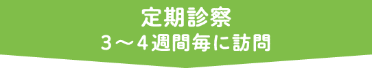 定期健診 3~4週間毎に訪問